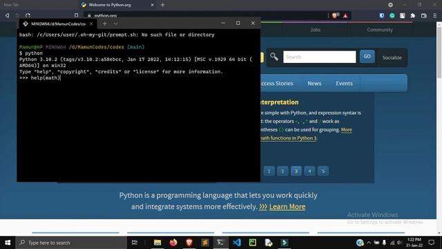 how to view python documentation in terminal | without internet