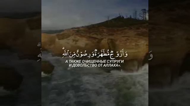 Перевод Алю Имран (Семейство Имрана) смотреть онлайн