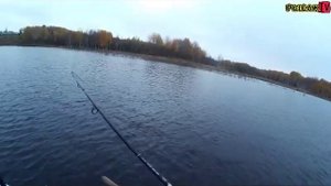 Ловля щуки осенью на озере в Ленинградской области.  Ловля щуки в октябре 2019. Рыбалка осенью.