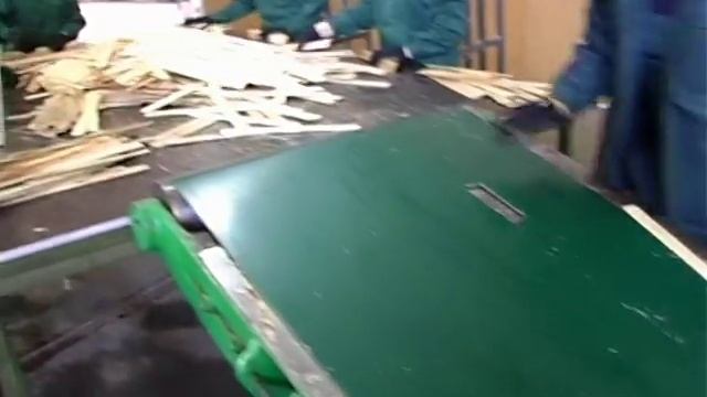 Производство евро-тары из древесины  тополя