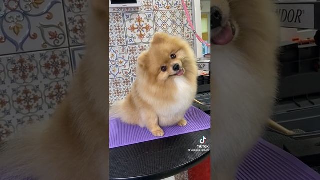 милый