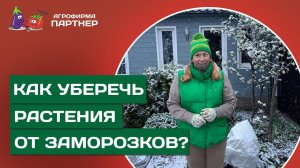 КАК ЗАЩИТИТЬ РАССАДУ И ДРУГИЕ РАСТЕНИЯ В САДУ ОТ ВОЗВРАТНЫХ ЗАМОРОЗКОВ?