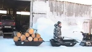 За дровами в лес на мотобуксировщике
