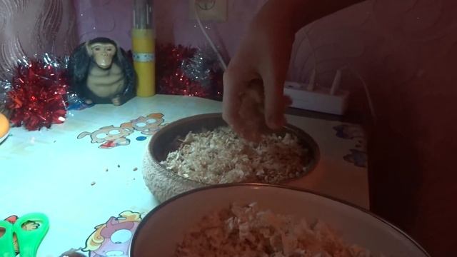 Как вырастить травку для хомяка СИРИЙСКИЙ ХОМЯК ДЖУНГАРСКИЙ ХОМЯК ХОМЯКИ ДОМАШНИЕ @user-bx4nf1fi8l