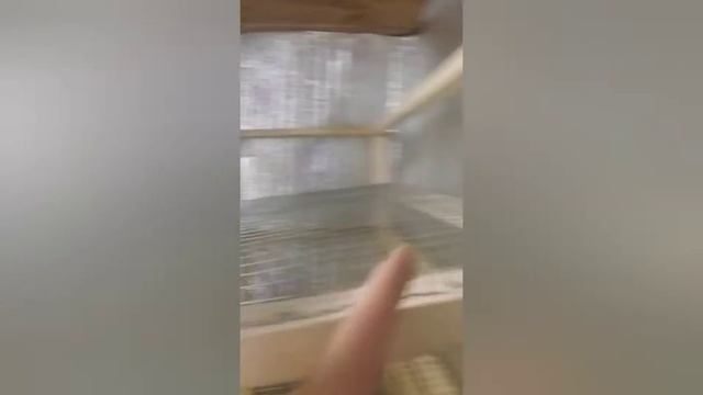 Перепелки. Часть 2. Клетка для перепелов. смотреть онлайн