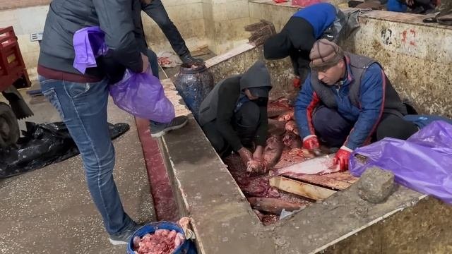 Самый Большой Рыбный Рынок Узбекистана!