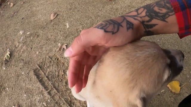 Путешествие по Турции на авто. Альтернатива Каппадокии: озеро и пещеры города Эрменек. Отдых 2021 смотреть онлайн