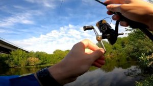 Ловля окуня и щуки в начале лета | Уловистые приманки | Ловлю в бесклёвье | Воблеры против джига