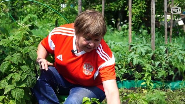 Это Важно! Почему плохо растёт перец ? Рассказываю свои секреты ! Посадили второй урожай перца?