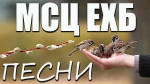 МСЦ ЕХБ песни