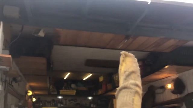 Подарок/Покраска ворот Гаража!! смотреть онлайн