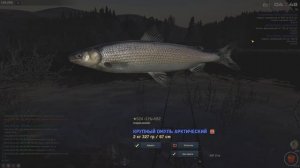 Fisher Online / трофейный налим, река Енисей