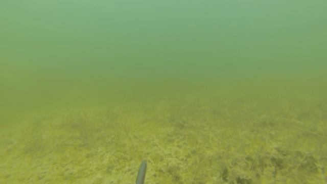 Кюрлевский карьер. Попытка поохотиться смотреть онлайн