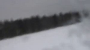 В погоне за тремя зайцами. Сюжет 2