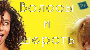Как правильно выделять волосы и шерсть в фотошоп