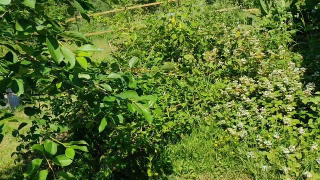 как работает слабачок смотреть онлайн