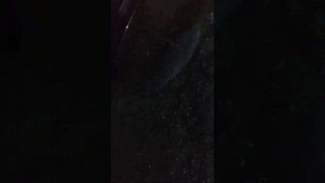 Мойка самообслуживания г.Серпухов