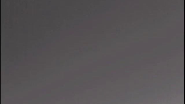 Косуля в тепловизор. смотреть онлайн