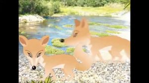 Струнные смычковые инструменты.