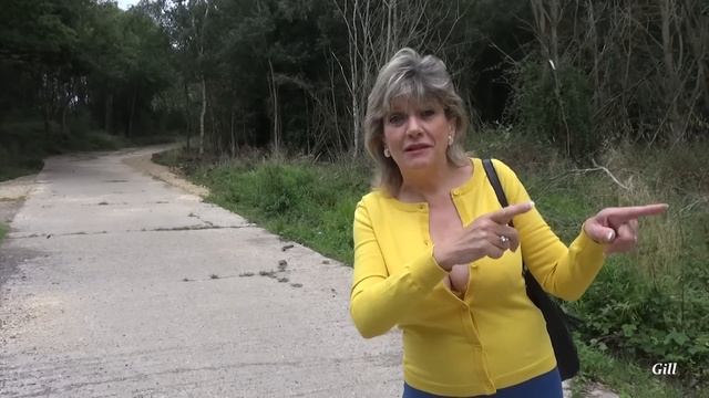 Gill Ellis-Young – Twyford Woods – Lets go for a walk смотреть онлайн