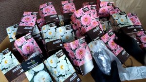 Пионы за 68 рублей, древовидные в Леруа Мерлен. Выгодная покупка. Купила 27 штук и не пожалела.