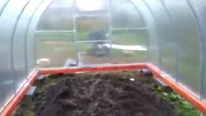 ЛЕНИНГРАДСКИЕ ТЕПЛИЦЫ