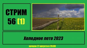 Стрим #56 "Холодное лето 2023"