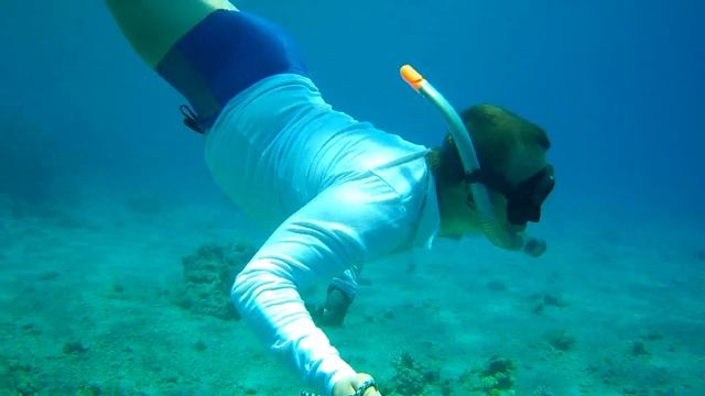 02 Красное море коралловый риф ( вторая часть ) смотреть онлайн