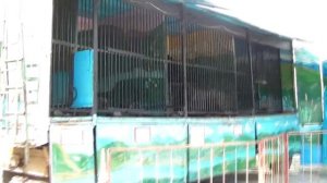 передвижной зверинец - все муки ада.