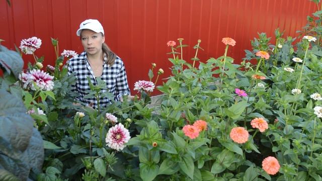 Что делать в цветнике в августе смотреть онлайн