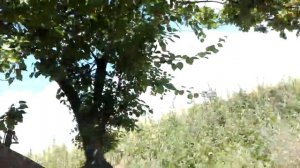 Отдых на берегу Весёловского водохранилища