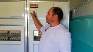 Воронежский инкубатор. Удобный или нет? Недогрев? Перегрев? Voronezh incubator is very convenient.