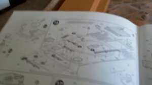 Обзор сборной модели танка тигр1 от зведы