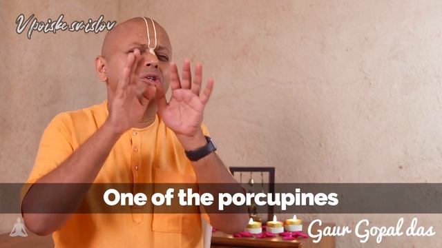 Как Потребность Друг в Друге Заставляет Проявлять Чудеса Терпимости смотреть онлайн