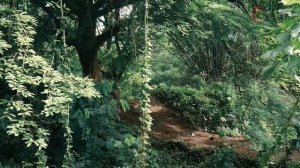 Haro Double Peak 27 5 Comp 2020