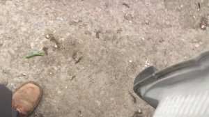 Опель виваро- остаток в баке после лампочки.