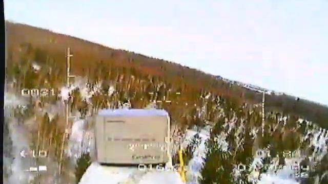 Бегущие лоси смотреть онлайн