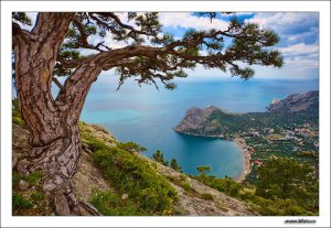 Клип на песню "Морские звезды" Светланы Копыловой