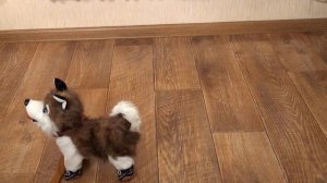 безымянныйРазвивающие игрушки: «Хаски с косточкой». Интерактивная собака. Игрушки для детей.