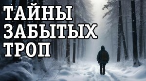 Исчезновение в лабиринте леса