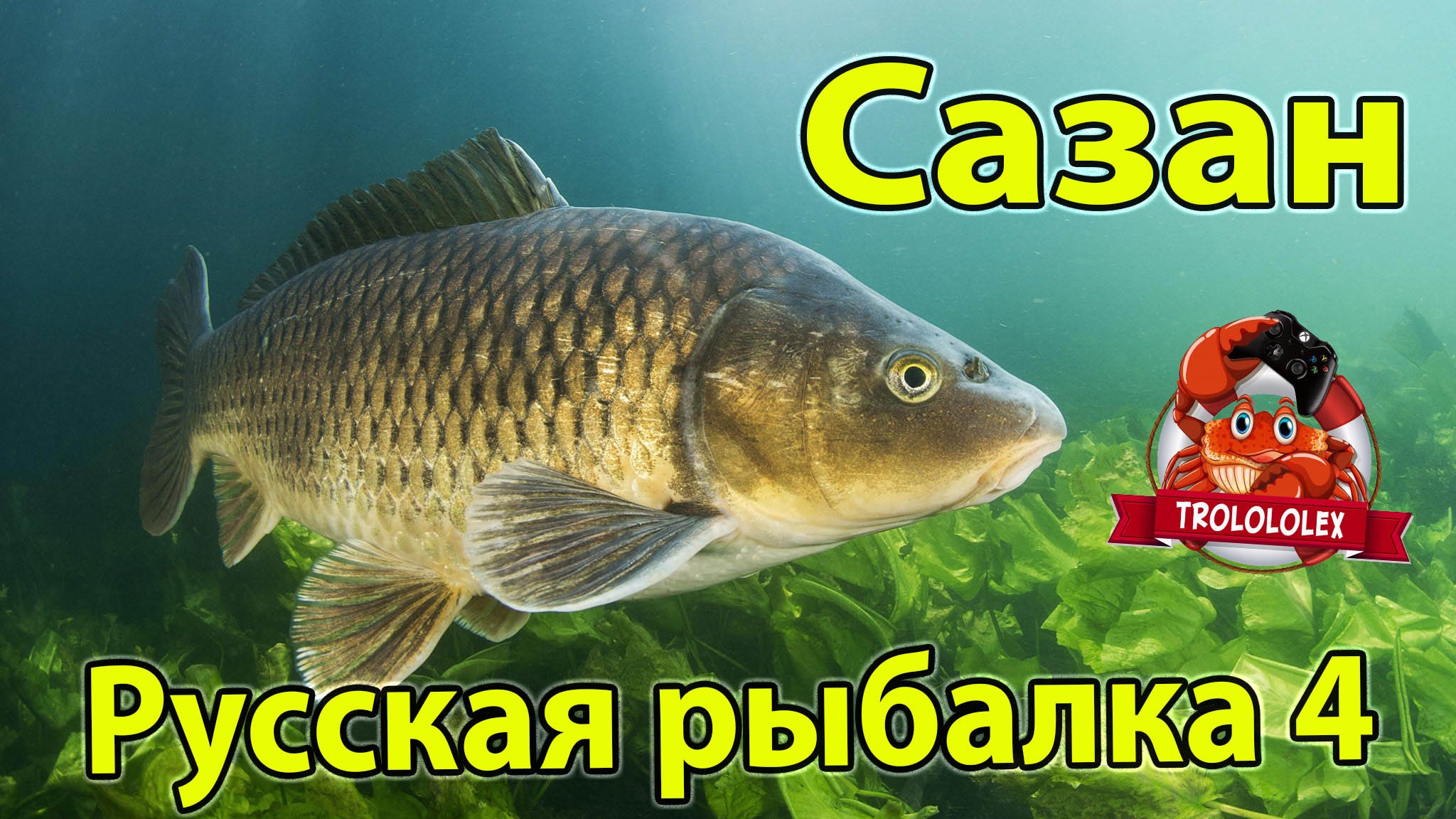 русская рыбалка паша карп голый фото 70