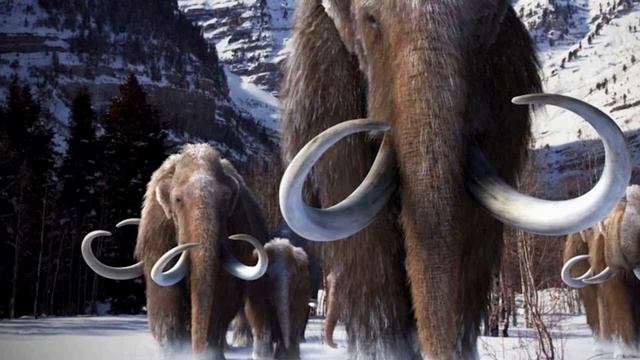 Мамонты жили в 19 20 веке Историки снова нам наврали смотреть онлайн