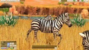 Wildlife Park 3 - Plains Zebra Gameplay (PC HD) [1080p60FPS