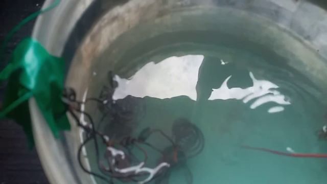 Холодная плазма своими руками