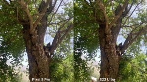 Google Pixel 8 Pro VS Samsung Galaxy S23 Ultra Camera Comparison