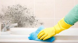 Как удалить плесень в ванной с помощью уксуса