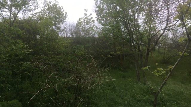 ВАРВАРОВКА Земельный участок в селе Варваровка ул.Десантная