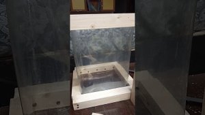 По ульям адвоката Егорова. Часть 10. #бутылочноепчеловодство #пчеловодство