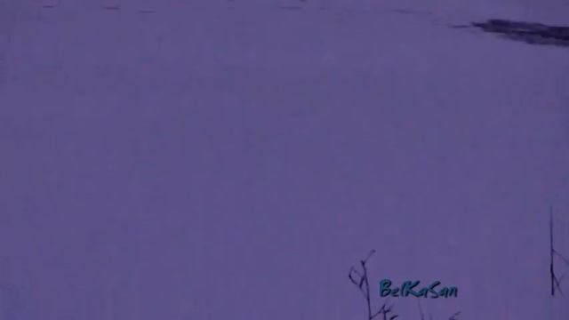 Рыбаки на озере у палатки. Смоленск. смотреть онлайн