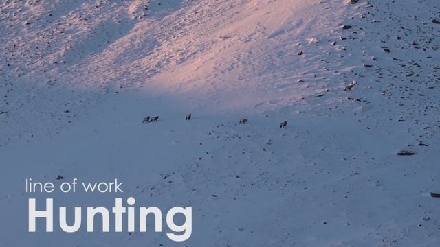 KOCHEVNIK смотреть онлайн